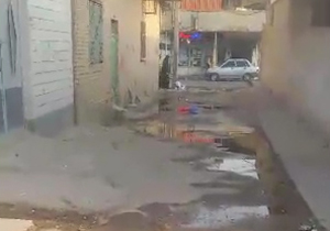 سرقت مسلحانه از بانک تجارت خوی/گرد و خاک مدارس آبادان را تعطیل کرد/سقوط درخت حادثه ساز شد + فیلم و تصاویر سرقت مسلحانه از بانک تجارت خوی/گرد و خاک مدارس آبادان را تعطیل کرد/سقوط درخت حادثه ساز شد + فیلم و تصاویر