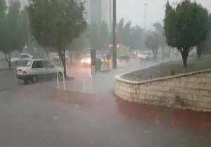 بارش باران و تگرگ در بوشهر + فیلم