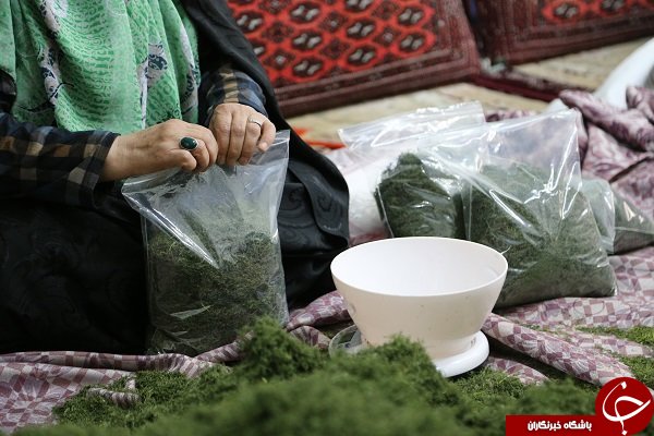 مشاغلی که با آنها ثروتمند خواهید شد