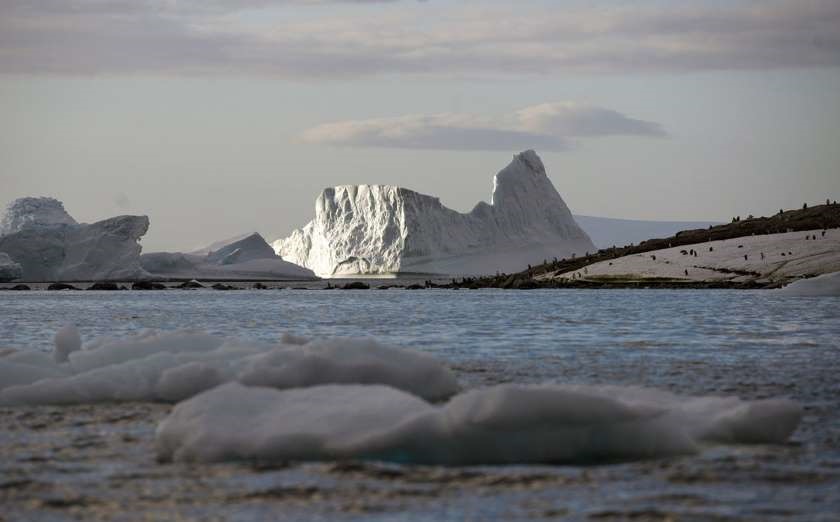 سفری به قطب جنوب در گرم&zwnj;ترین روزهای سال+تصاویر