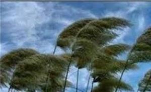 وزش شدید باد گرم در گیلان