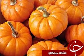 کدو حلوایی؛ از خوش اندامی تا خوش اخلاقی