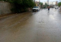 ۸۴.۱ میلی&zwnj;متر بارش باران در استان بوشهر ثبت شد