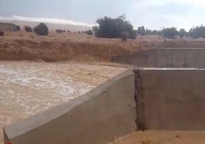 نیمه‌کاره ماندن پروژه عمرانی پل در بوشکان + فیلم