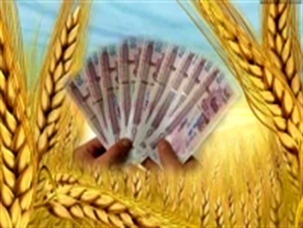 تمام مطالبات گندم کاران آذربایجان غربی پرداخت شد