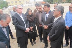 تکمیل پروژه&zwnj;های کلان شهرستان دشتستان را با جدیت دنبال می&zwnj;کنیم