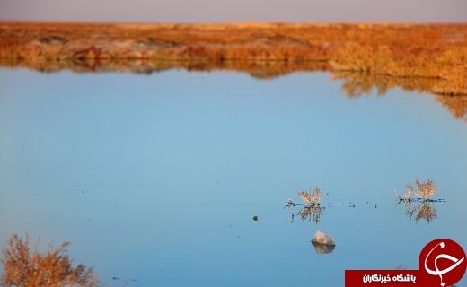 گوهری در میان کویر+تصاویر