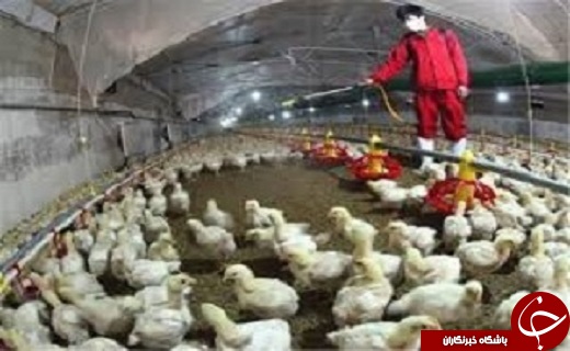 راه اندازی ۸ خط تولید در کارخانه دستکش حریر /جذب بازماندگان از تحصیل اولویت آموزش و پرورش است /کشف ۲ کیلو و ۷۰۰ گرم تریاک در بوکان