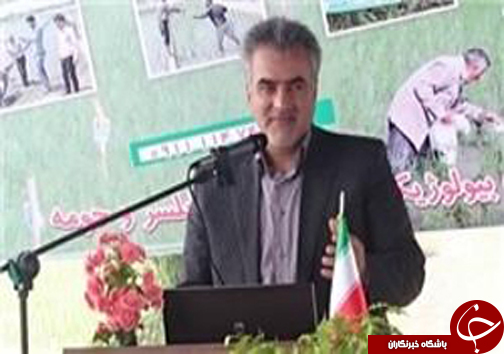 باغ&zwnj;های مرکبات تحت استرس مهمان ناخوانده ۴ میلی متری
