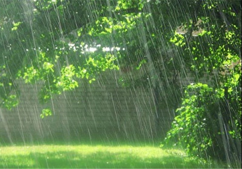 کاهش دمای ۱۴ درجه‌ای برای گلستان