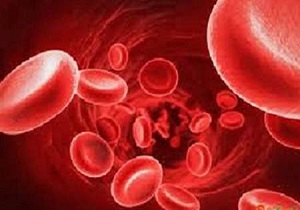 آغاز ثبت نام اهداکنندگان سلولهای بنیادی در خراسان جنوبی