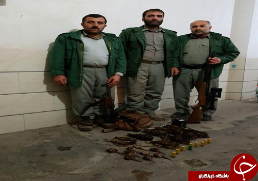 ۱۵ شکارچی غیرمجاز مازندران در تور قانون + تصاویر