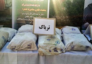 کشف 520 کیلوگرم مواد مخدر در قم