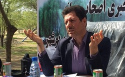 پوشش درخت &laquo;کنار&raquo; در بیش از ۳۰ هزار هکتار از مراتع استان بوشهر