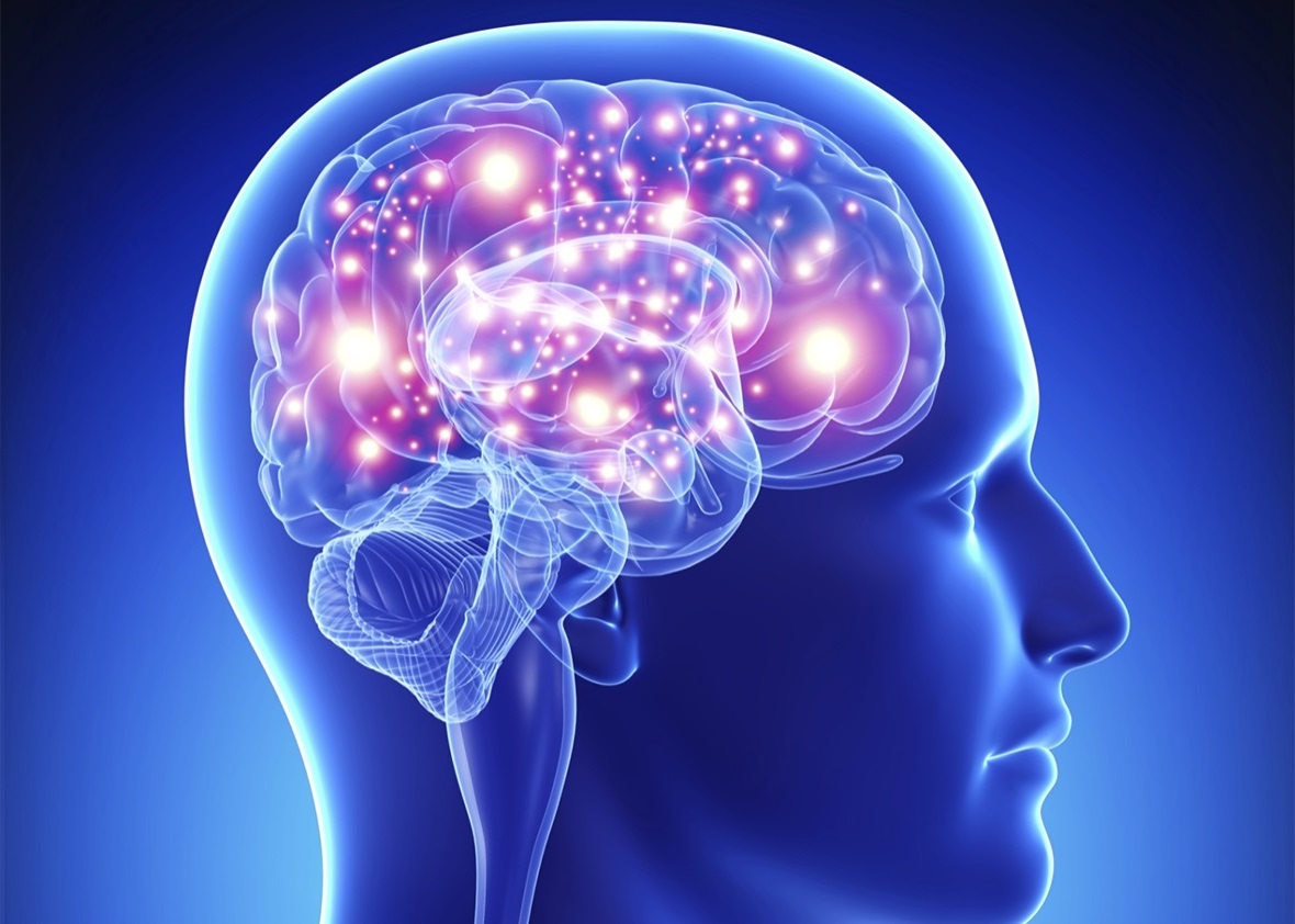 ویدئویی جالب از عملکرد مغز در طول یک شبانه روز