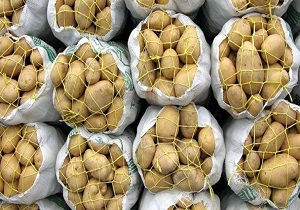 استان اردبیل ظرفیت زیادی در صادرات محصولات و همکاری های تجاری دارد