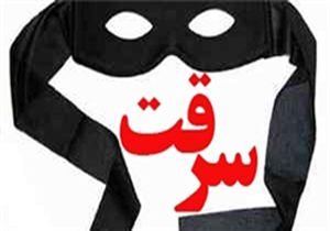 کشف ۷ فقره سرقت در شهرستان محمودآباد
