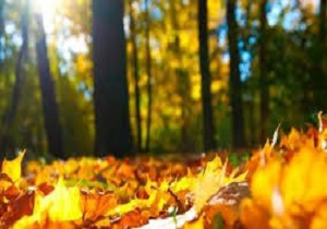 دمای هوا تغییرات محسوسی ندارد