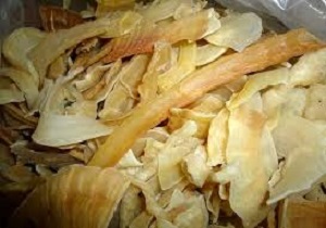 برداشت بیش از 3.5 تن کتیرا از گون های کردستان/صنایع تبدیلی لازمه ایجاد بازار فروش برای کتیرا