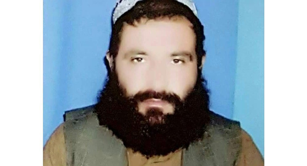 کشته شدن مقام ارشد طالبان در ولایت هلمند
