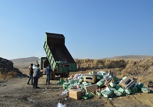 معدوم سازی  مواد غذایی غیر قابل مصرف در نازلو