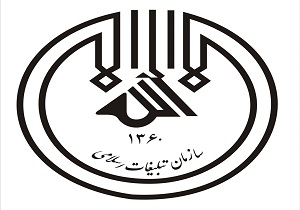 انجام 800 نفر روز تبلیغ طی ماه محرم و صفر در مهدی‌شهر
