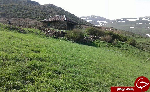 مراتع سرسبز روستای کمنی + تصاویر