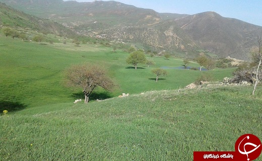 مراتع سرسبز روستای کمنی + تصاویر