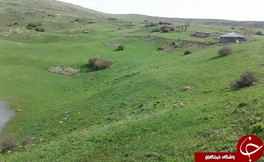 مراتع سرسبز روستای کمنی + تصاویر
