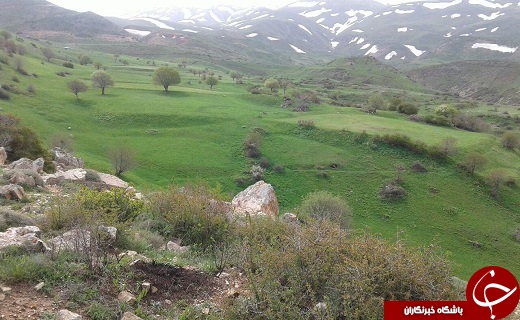 مراتع سرسبز روستای کمنی + تصاویر