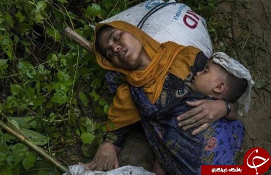 تصاویر دلخراش از شکنجه مسلمانان روهینگیا 13+
