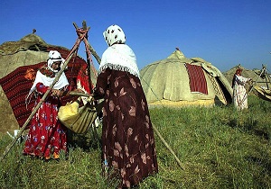 تولید 35 درصد محصولات لبنی و پروتئینی استان اردبیل توسط عشایر