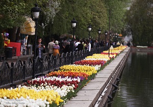 کاشت گلهای فصلی مقاوم به سرما در شهر اردبیل