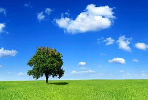 وضعیت جوی پایدار درخوزستان