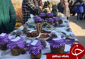 برگزاری جشنواره ترشی + تصاویر