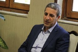 استان بوشهر ظرفیت بالایی برای میزبانی مسابقات کشوری و جهانی دارد