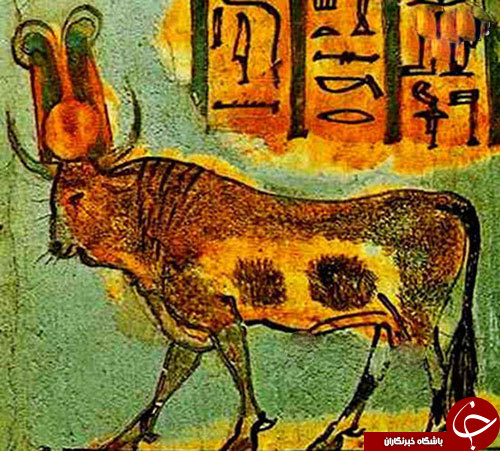 حیوانات مقدسی که در طول تاریخ پرستش شده&zwnj;اند+تصاویر