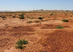 خلاء مطالعات آلودگی خاک در استان مرکزی / آلودگی خاک بر زنجیره غذایی تاثیرگذار است