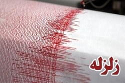 ۷ نفر در شهرستان دیر بر اثر زلزله مصدوم شدند