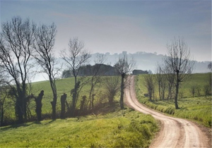 دست پنجه نرم کردن ساکنین روستایی با نبود جاده های ارتباطی 