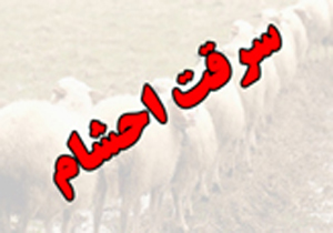 دستگیری باند سارقان احشام در سوادکوه شمالی