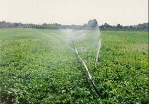 اجرای ۴۵میلیارد تومان طرح حوزه کشاورزی در الیگودرز