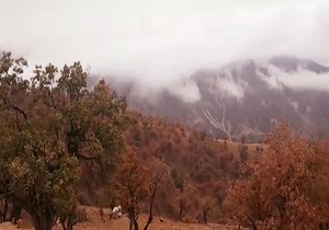 نمایی از طبیعت زیبای پاییزی در بارز و شوار + فیلم