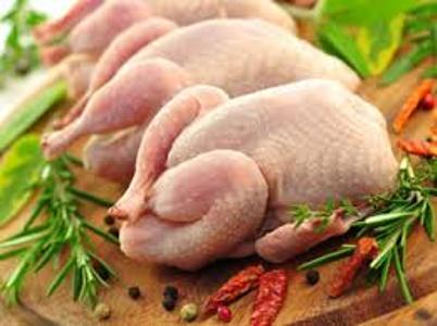 برای جلوگیری از آلزایمر این ماهی را فراموش نکنید/تقویت مینای دندان با این روش/بدخوابیدن،کودکان را سرکش می کند/فواید هوای سرد