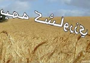 تمدید بیمه محصولات زراعی دراستان کردستان تا پایان آذر
