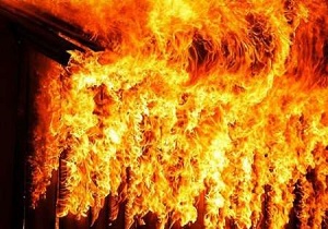 سوختن 60 گوسفند در شهرستان نهبندان