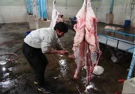 کشتارگاه سنتی ملکشاهی استانداردسازی می شود
