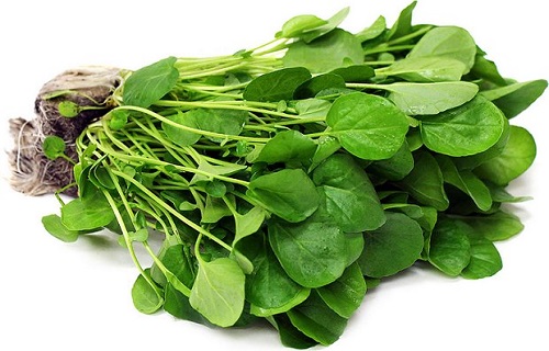 برای داشتن مو&zwnj;هایی پرپشت از چه مواد غذایی استفاده کنیم؟