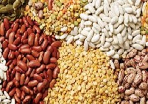 تولید 1395 تن حبوبات در شهرستان نیر