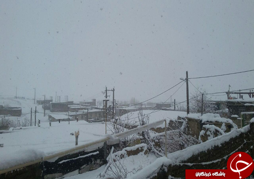 آغاز بارش برف در لرستان + عکس